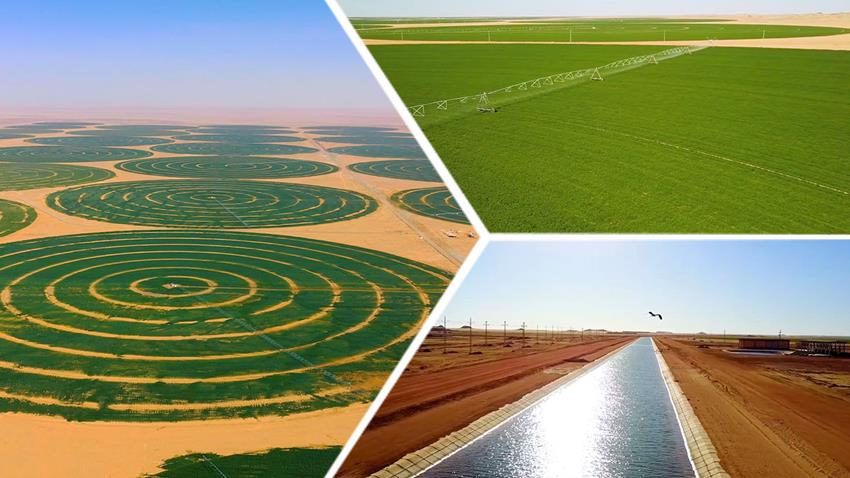 El Alamein Project